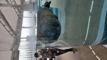 京都水族館に投稿された画像（2020/11/22）