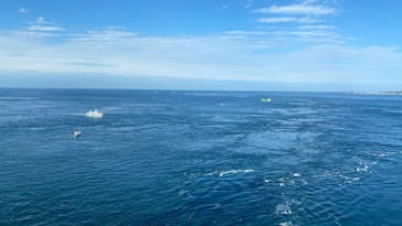 徳島県立 渦の道に投稿された画像（2020/11/22）