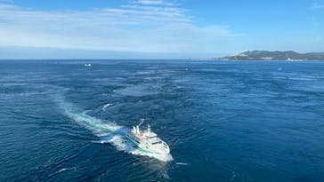 徳島県立 渦の道に投稿された画像（2020/11/22）