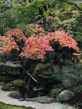 足立美術館に投稿された画像（2020/11/22）