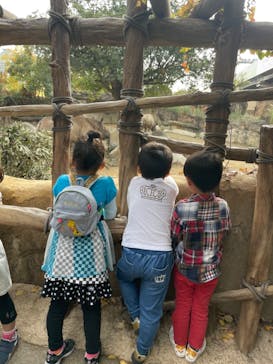 天王寺動物園に投稿された画像（2020/11/22）