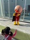 神戸アンパンマンこどもミュージアム＆モールに投稿された画像（2020/11/22）