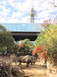 天王寺動物園に投稿された画像（2020/11/22）