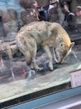 天王寺動物園に投稿された画像（2020/11/22）
