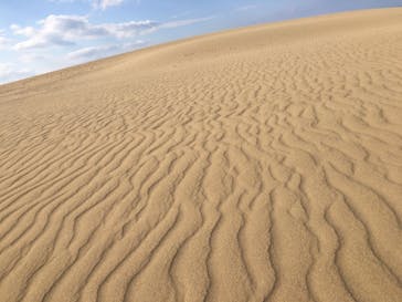 TRAIL ON（トレイル オン）に投稿された画像（2020/11/22）