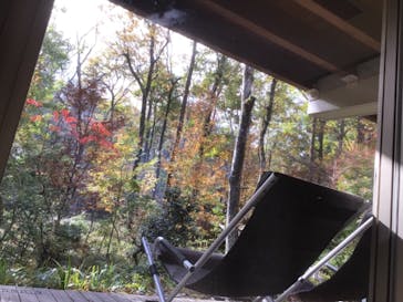 モダン湯治 おんりーゆーに投稿された画像（2020/11/22）