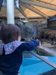 しながわ水族館に投稿された画像（2020/11/22）