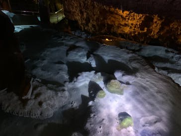 おきなわワールドに投稿された画像（2020/11/22）