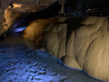 おきなわワールドに投稿された画像（2020/11/22）