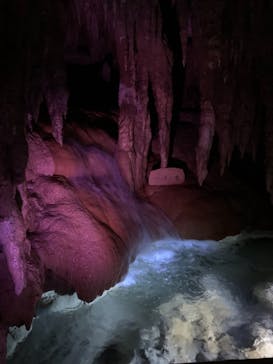 おきなわワールドに投稿された画像（2020/11/22）