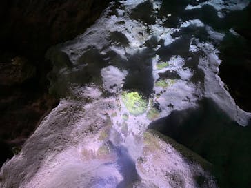 おきなわワールドに投稿された画像（2020/11/22）