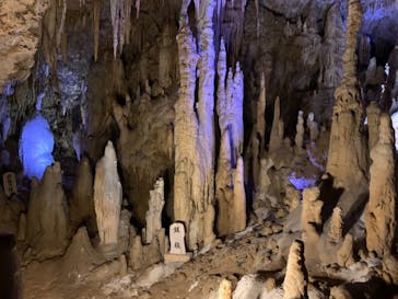 おきなわワールドに投稿された画像（2020/11/22）