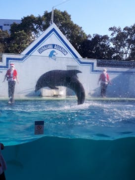 しながわ水族館に投稿された画像（2020/11/22）