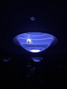 サンシャイン水族館に投稿された画像（2020/11/22）