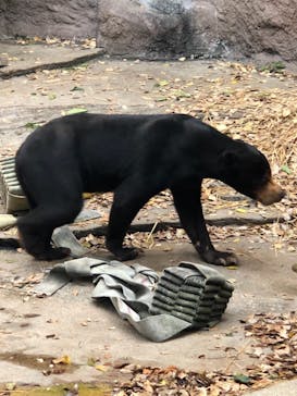 天王寺動物園に投稿された画像（2020/11/22）