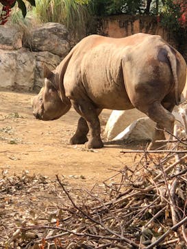 天王寺動物園に投稿された画像（2020/11/22）