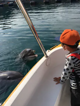 うみたま体験パーク 「つくみイルカ島」に投稿された画像（2020/11/22）