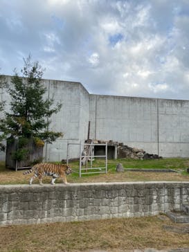 天王寺動物園に投稿された画像（2020/11/22）