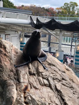 京都水族館に投稿された画像（2020/11/22）