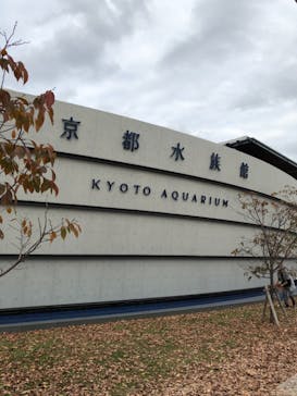 京都水族館に投稿された画像（2020/11/22）