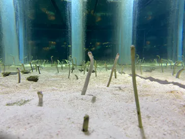 すみだ水族館に投稿された画像（2020/11/22）