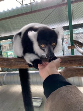 岩手サファリパークに投稿された画像（2020/11/22）