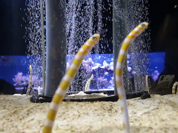 すみだ水族館に投稿された画像（2020/11/22）