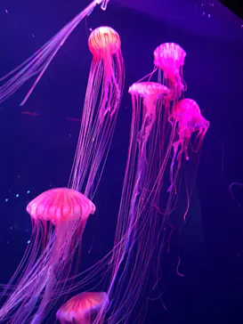 すみだ水族館に投稿された画像（2020/11/22）
