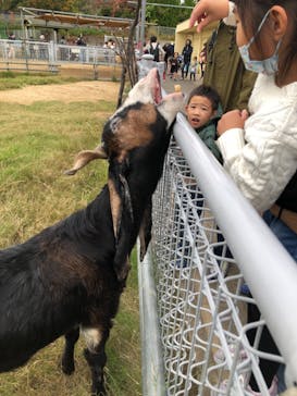 天王寺動物園に投稿された画像（2020/11/22）