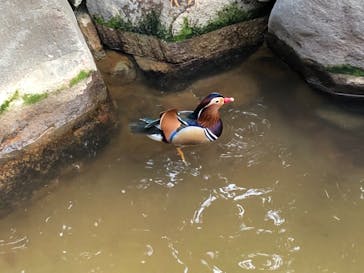 天王寺動物園に投稿された画像（2020/11/22）