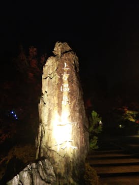 上方温泉 一休 京都本館に投稿された画像（2020/11/22）