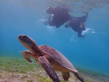 宮古島 ADVENTURE PiPi（ミヤコジマ アドベンチャー ピピ）に投稿された画像（2020/11/22）