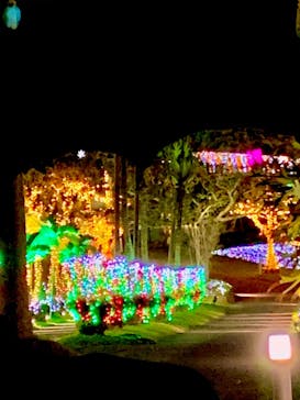 美らヤシパークオキナワ・東南植物楽園に投稿された画像（2020/11/22）