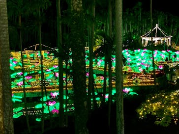 美らヤシパークオキナワ・東南植物楽園に投稿された画像（2020/11/22）