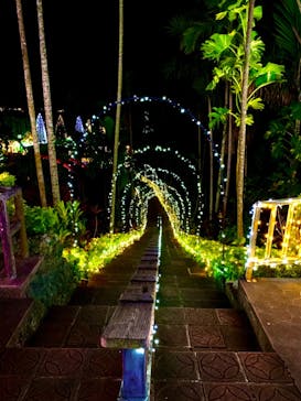 美らヤシパークオキナワ・東南植物楽園に投稿された画像（2020/11/22）