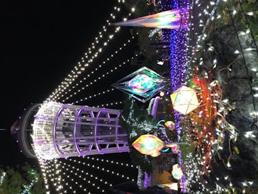 江の島シーキャンドルに投稿された画像（2020/11/22）