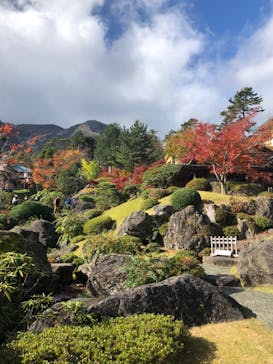 箱根美術館に投稿された画像（2020/11/22）