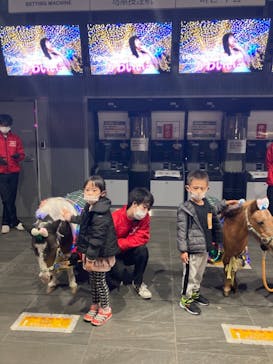 東京メガイルミに投稿された画像（2020/11/22）