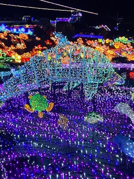 伊豆ぐらんぱる公園に投稿された画像（2020/11/22）