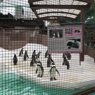 天王寺動物園に投稿された画像（2020/11/22）