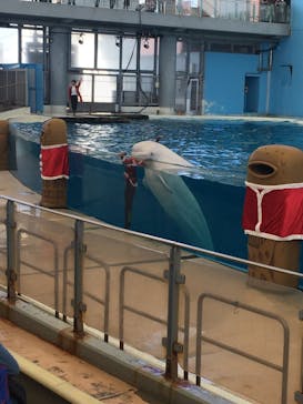 横浜・八景島シーパラダイスに投稿された画像（2020/11/22）