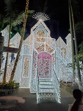 美らヤシパークオキナワ・東南植物楽園に投稿された画像（2020/11/22）