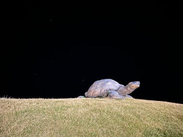 アクアワールド茨城県大洗水族館に投稿された画像（2020/11/22）