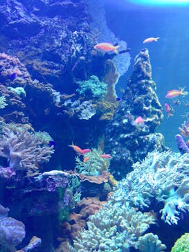 サンシャイン水族館に投稿された画像（2020/11/22）