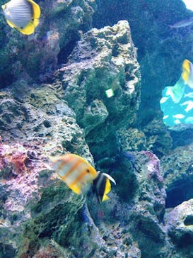 サンシャイン水族館に投稿された画像（2020/11/22）