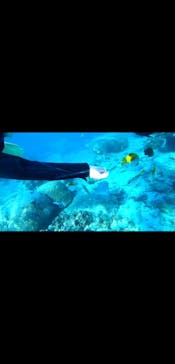 DIVING-SHOP SUNSに投稿された画像（2020/11/22）