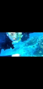 DIVING-SHOP SUNSに投稿された画像（2020/11/22）