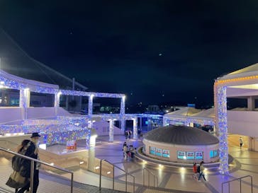 横浜・八景島シーパラダイスに投稿された画像（2020/11/22）