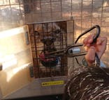 群馬サファリパークに投稿された画像（2020/11/22）