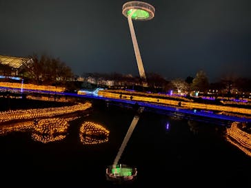 なばなの里に投稿された画像（2020/11/22）